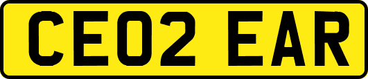 CE02EAR