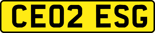 CE02ESG