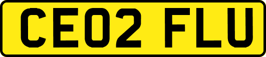 CE02FLU