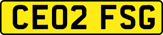 CE02FSG