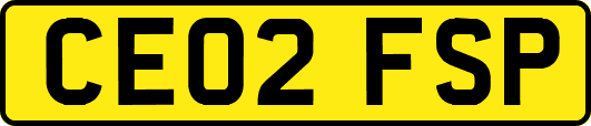 CE02FSP