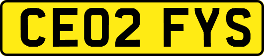 CE02FYS