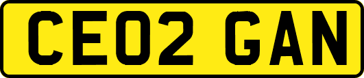 CE02GAN