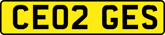 CE02GES