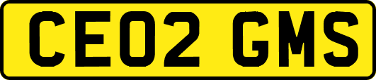 CE02GMS