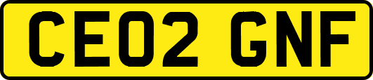 CE02GNF