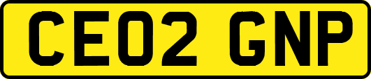 CE02GNP