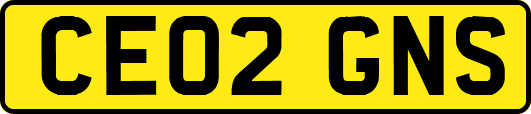 CE02GNS