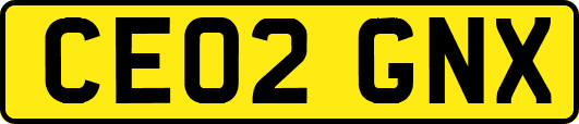 CE02GNX