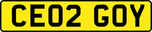 CE02GOY