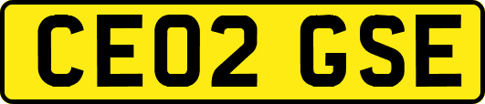 CE02GSE