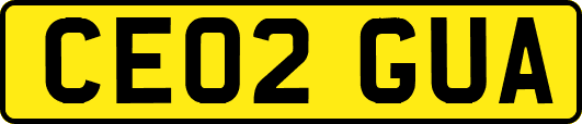 CE02GUA