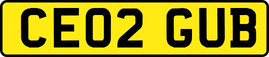 CE02GUB