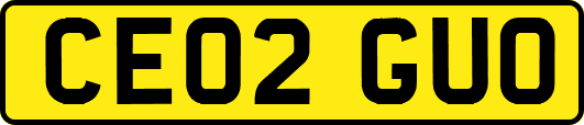 CE02GUO