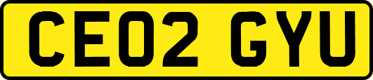 CE02GYU
