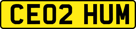 CE02HUM