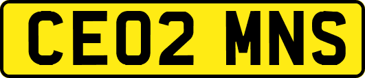 CE02MNS