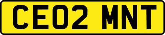 CE02MNT
