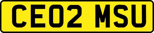 CE02MSU
