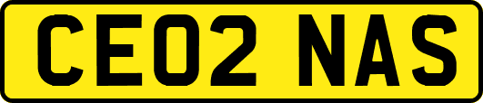 CE02NAS