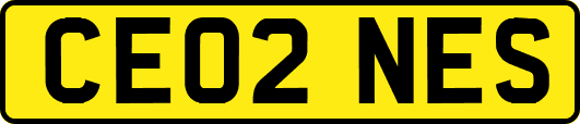 CE02NES