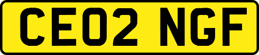 CE02NGF