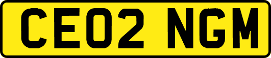 CE02NGM