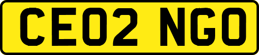 CE02NGO