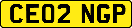 CE02NGP