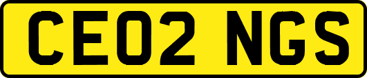 CE02NGS