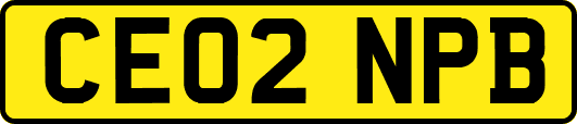 CE02NPB