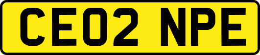 CE02NPE