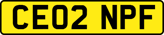 CE02NPF