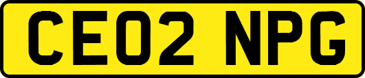 CE02NPG