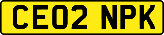CE02NPK