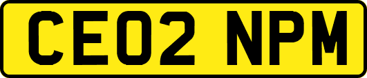 CE02NPM