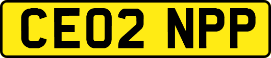 CE02NPP