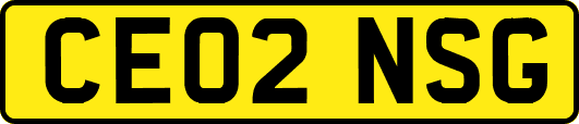 CE02NSG