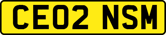 CE02NSM