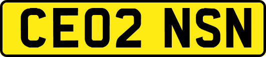 CE02NSN