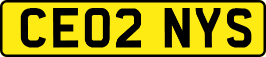 CE02NYS