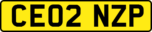 CE02NZP