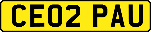 CE02PAU
