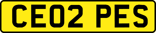 CE02PES