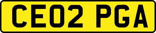 CE02PGA