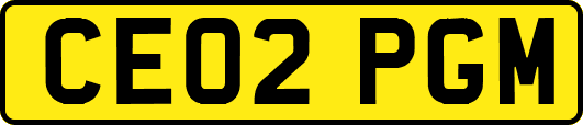 CE02PGM
