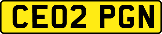 CE02PGN