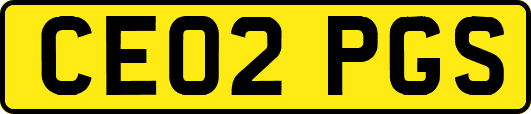 CE02PGS