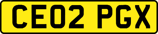 CE02PGX