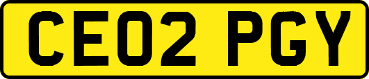 CE02PGY